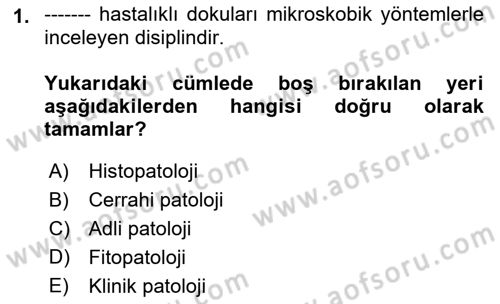 Temel Veteriner Patoloji Dersi Ara Sınavı Deneme Sınav Soruları 1. Soru