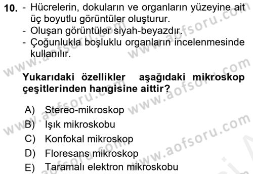 Temel Veteriner Patoloji Dersi Ara Sınavı Deneme Sınav Soruları 10. Soru