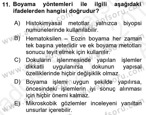 Temel Veteriner Patoloji Dersi Ara Sınavı Deneme Sınav Soruları 11. Soru