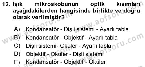 Temel Veteriner Patoloji Dersi 2018 - 2019 Yılı (Vize) Ara Sınav Soruları 12. Soru
