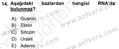 Temel Veteriner Patoloji Dersi Ara Sınavı Deneme Sınav Soruları 14. Soru