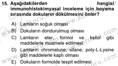 Temel Veteriner Patoloji Dersi 2018 - 2019 Yılı (Vize) Ara Sınav Soruları 15. Soru