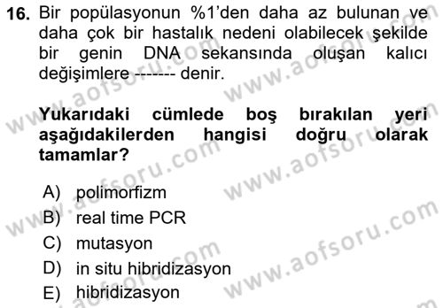 Temel Veteriner Patoloji Dersi Ara Sınavı Deneme Sınav Soruları 16. Soru