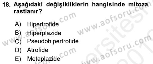 Temel Veteriner Patoloji Dersi Ara Sınavı Deneme Sınav Soruları 18. Soru