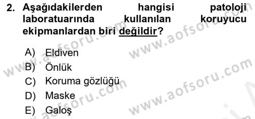 Temel Veteriner Patoloji Dersi Ara Sınavı Deneme Sınav Soruları 2. Soru