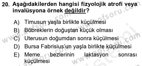 Temel Veteriner Patoloji Dersi Ara Sınavı Deneme Sınav Soruları 20. Soru