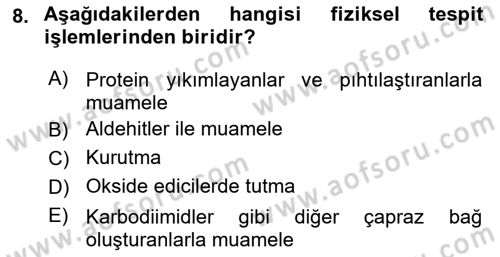 Temel Veteriner Patoloji Dersi Ara Sınavı Deneme Sınav Soruları 8. Soru