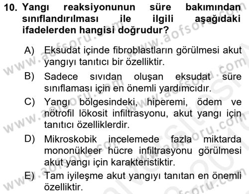 Temel Veteriner Patoloji Dersi 2018 - 2019 Yılı (Final) Dönem Sonu Sınav Soruları 10. Soru