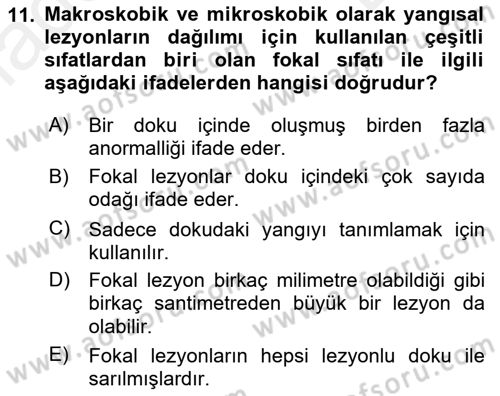 Temel Veteriner Patoloji Dersi 2018 - 2019 Yılı (Final) Dönem Sonu Sınav Soruları 11. Soru