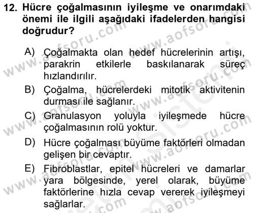 Temel Veteriner Patoloji Dersi 2018 - 2019 Yılı (Final) Dönem Sonu Sınav Soruları 12. Soru