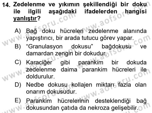 Temel Veteriner Patoloji Dersi 2018 - 2019 Yılı (Final) Dönem Sonu Sınav Soruları 14. Soru