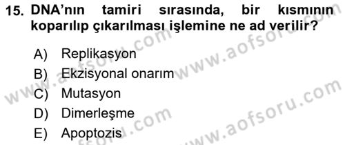 Temel Veteriner Patoloji Dersi 2018 - 2019 Yılı (Final) Dönem Sonu Sınav Soruları 15. Soru