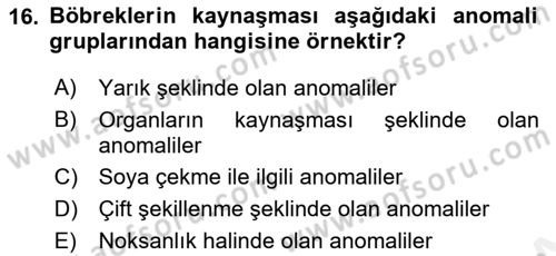 Temel Veteriner Patoloji Dersi 2018 - 2019 Yılı (Final) Dönem Sonu Sınav Soruları 16. Soru
