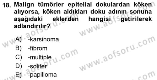 Temel Veteriner Patoloji Dersi 2018 - 2019 Yılı (Final) Dönem Sonu Sınav Soruları 18. Soru