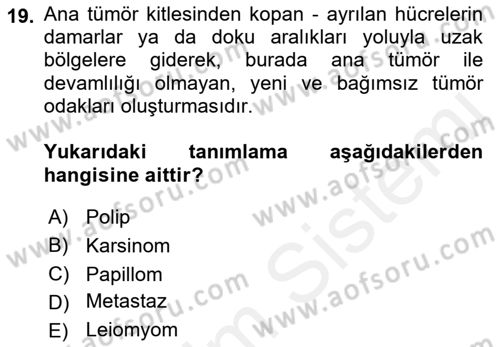 Temel Veteriner Patoloji Dersi 2018 - 2019 Yılı (Final) Dönem Sonu Sınav Soruları 19. Soru