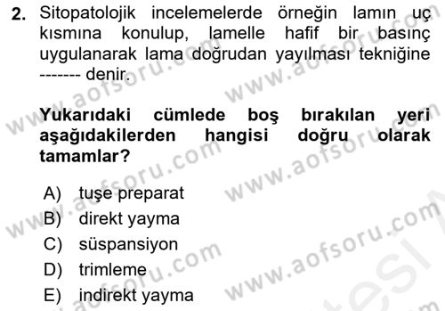 Temel Veteriner Patoloji Dersi 2018 - 2019 Yılı (Final) Dönem Sonu Sınav Soruları 2. Soru
