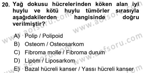 Temel Veteriner Patoloji Dersi 2018 - 2019 Yılı (Final) Dönem Sonu Sınav Soruları 20. Soru
