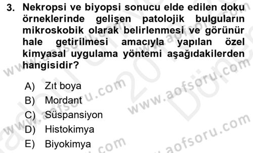 Temel Veteriner Patoloji Dersi 2018 - 2019 Yılı (Final) Dönem Sonu Sınav Soruları 3. Soru