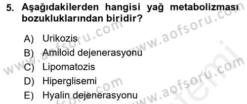 Temel Veteriner Patoloji Dersi 2018 - 2019 Yılı (Final) Dönem Sonu Sınav Soruları 5. Soru