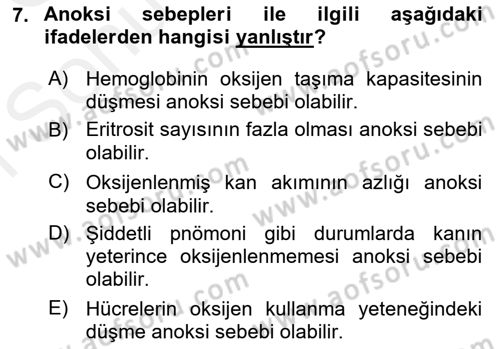 Temel Veteriner Patoloji Dersi 2018 - 2019 Yılı (Final) Dönem Sonu Sınav Soruları 7. Soru