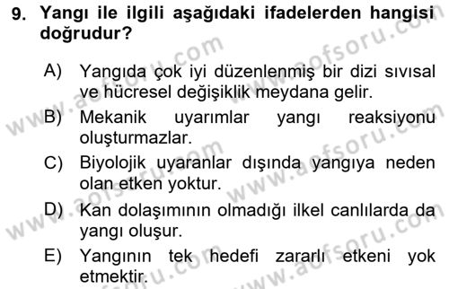 Temel Veteriner Patoloji Dersi 2018 - 2019 Yılı (Final) Dönem Sonu Sınav Soruları 9. Soru