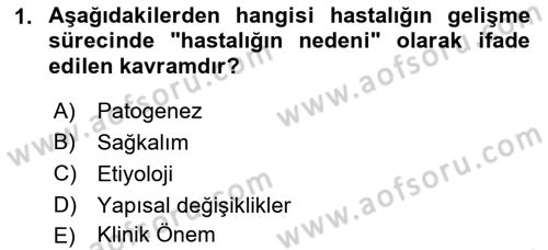 Temel Veteriner Patoloji Dersi 2018 - 2019 Yılı Yaz Okulu Sınav Soruları 1. Soru