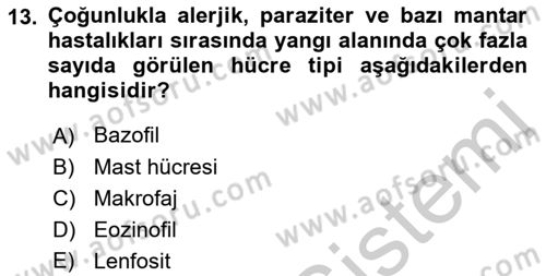 Temel Veteriner Patoloji Dersi 2018 - 2019 Yılı Yaz Okulu Sınav Soruları 13. Soru