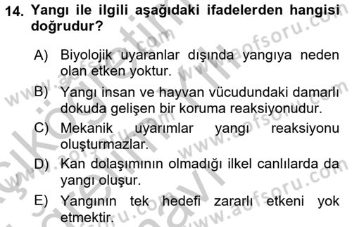Temel Veteriner Patoloji Dersi 2018 - 2019 Yılı Yaz Okulu Sınav Soruları 14. Soru