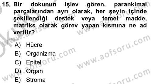 Temel Veteriner Patoloji Dersi 2018 - 2019 Yılı Yaz Okulu Sınav Soruları 15. Soru