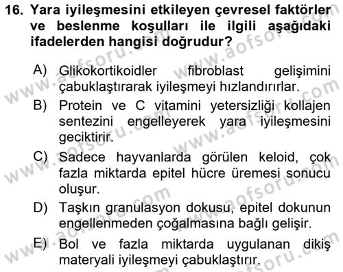 Temel Veteriner Patoloji Dersi 2018 - 2019 Yılı Yaz Okulu Sınav Soruları 16. Soru