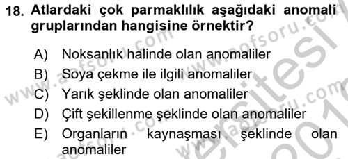 Temel Veteriner Patoloji Dersi 2018 - 2019 Yılı Yaz Okulu Sınav Soruları 18. Soru