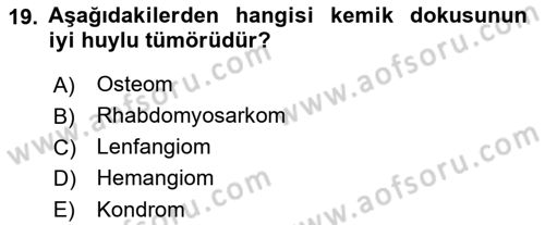 Temel Veteriner Patoloji Dersi 2018 - 2019 Yılı Yaz Okulu Sınav Soruları 19. Soru
