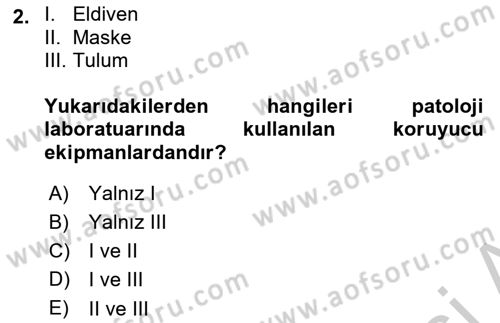 Temel Veteriner Patoloji Dersi 2018 - 2019 Yılı Yaz Okulu Sınav Soruları 2. Soru
