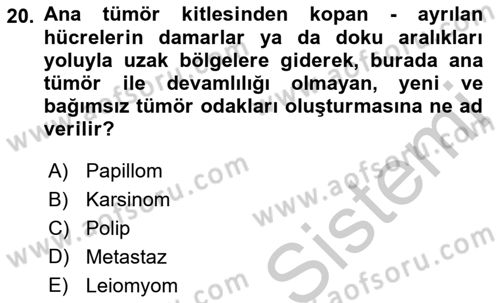 Temel Veteriner Patoloji Dersi 2018 - 2019 Yılı Yaz Okulu Sınav Soruları 20. Soru