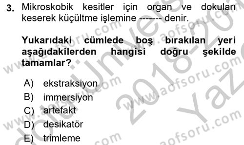 Temel Veteriner Patoloji Dersi 2018 - 2019 Yılı Yaz Okulu Sınav Soruları 3. Soru