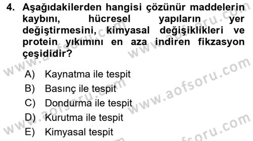 Temel Veteriner Patoloji Dersi 2018 - 2019 Yılı Yaz Okulu Sınav Soruları 4. Soru