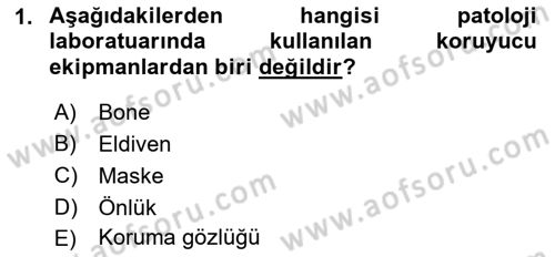 Temel Veteriner Patoloji Dersi Ara Sınavı Deneme Sınav Soruları 1. Soru