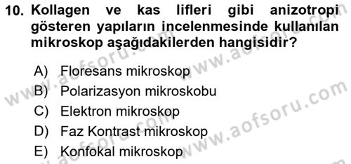 Temel Veteriner Patoloji Dersi 2019 - 2020 Yılı (Vize) Ara Sınav Soruları 10. Soru