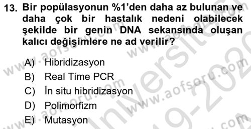Temel Veteriner Patoloji Dersi Ara Sınavı Deneme Sınav Soruları 13. Soru