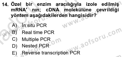 Temel Veteriner Patoloji Dersi 2019 - 2020 Yılı (Vize) Ara Sınav Soruları 14. Soru