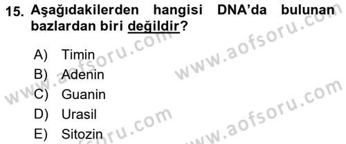 Temel Veteriner Patoloji Dersi Ara Sınavı Deneme Sınav Soruları 15. Soru