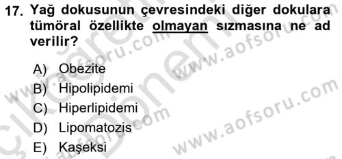 Temel Veteriner Patoloji Dersi Ara Sınavı Deneme Sınav Soruları 17. Soru