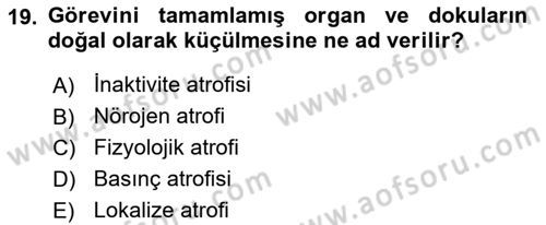 Temel Veteriner Patoloji Dersi 2019 - 2020 Yılı (Vize) Ara Sınav Soruları 19. Soru