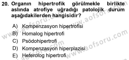 Temel Veteriner Patoloji Dersi 2019 - 2020 Yılı (Vize) Ara Sınav Soruları 20. Soru