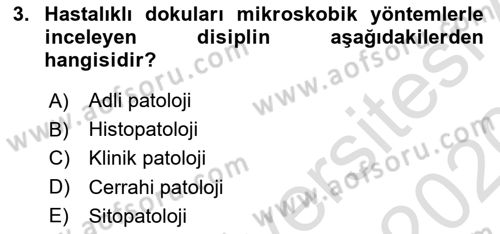 Temel Veteriner Patoloji Dersi Ara Sınavı Deneme Sınav Soruları 3. Soru