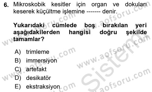 Temel Veteriner Patoloji Dersi Ara Sınavı Deneme Sınav Soruları 6. Soru