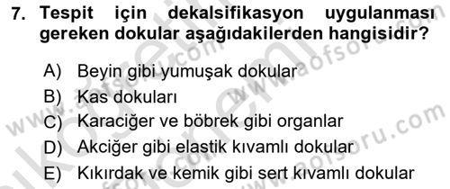 Temel Veteriner Patoloji Dersi Ara Sınavı Deneme Sınav Soruları 7. Soru