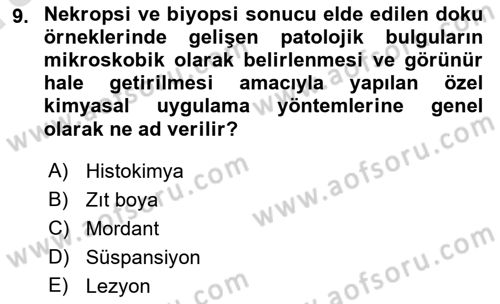 Temel Veteriner Patoloji Dersi Ara Sınavı Deneme Sınav Soruları 9. Soru