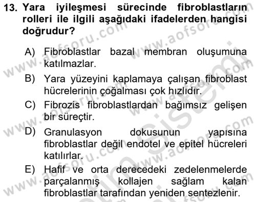 Temel Veteriner Patoloji Dersi 2019 - 2020 Yılı (Final) Dönem Sonu Sınav Soruları 13. Soru