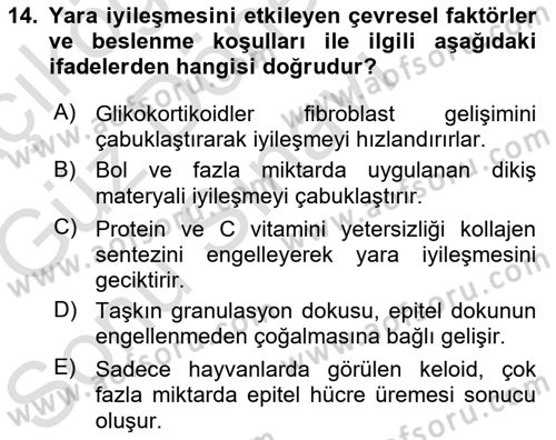 Temel Veteriner Patoloji Dersi 2019 - 2020 Yılı (Final) Dönem Sonu Sınav Soruları 14. Soru